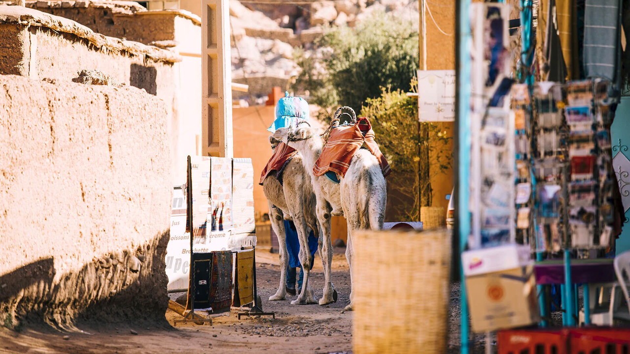 Photo of Others in Essaouira