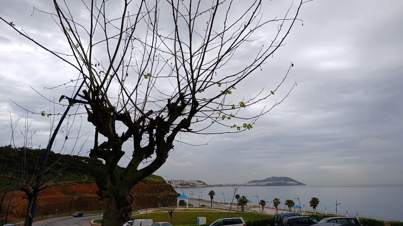 Photo of Outdoor in Residence Bab Sebta