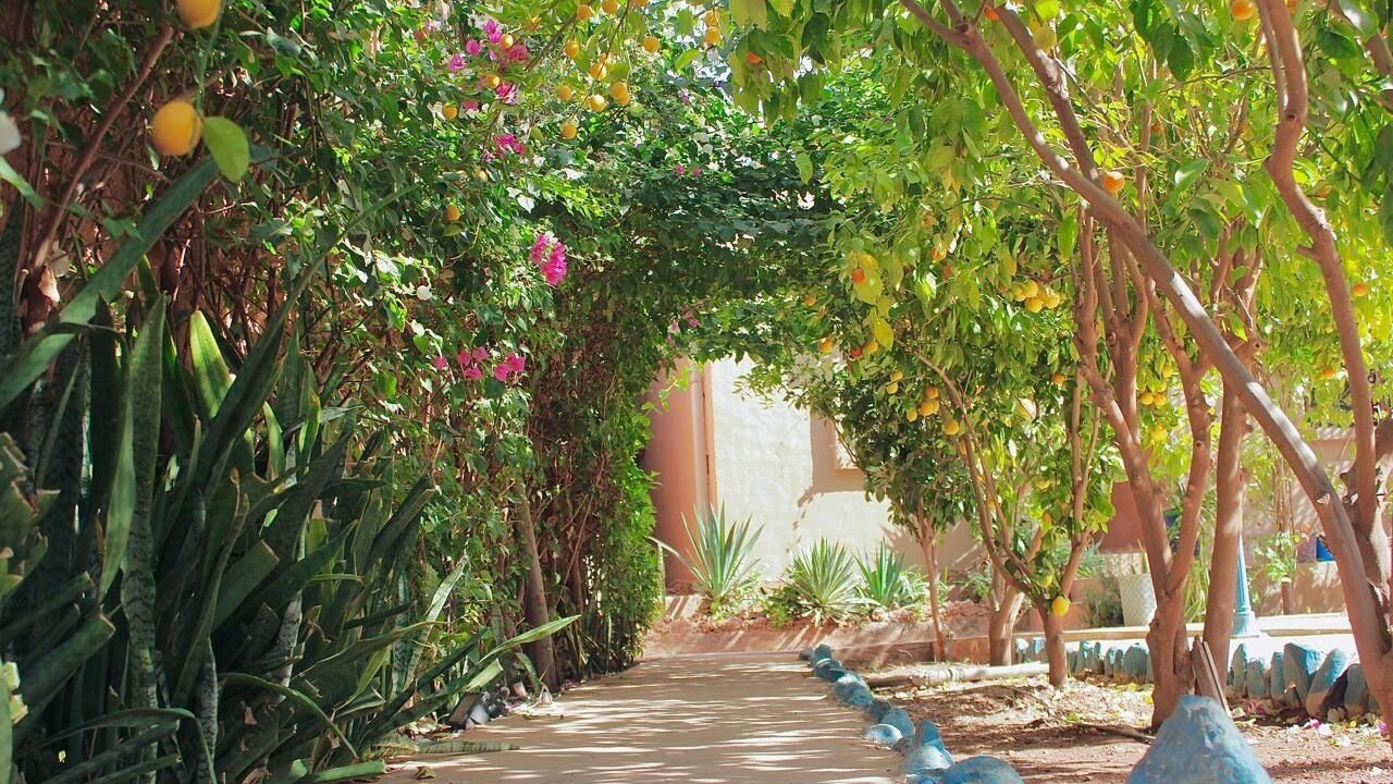 Photo of Outdoor in Taroudannt
