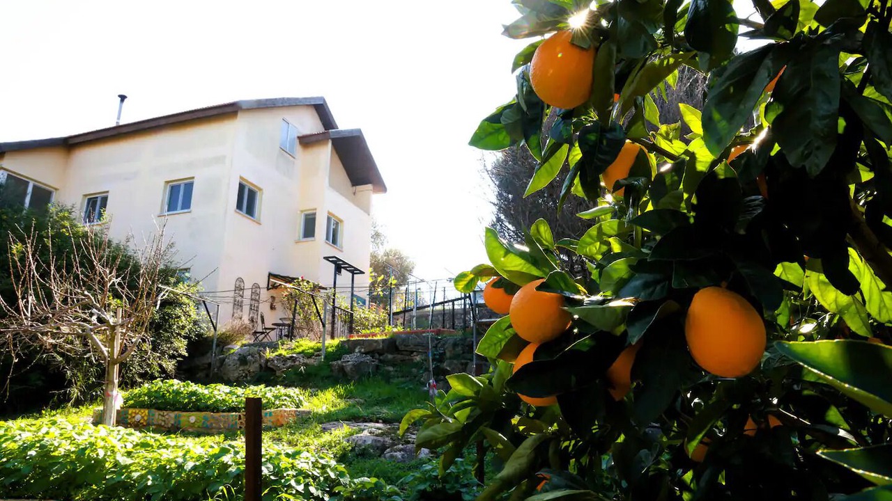 Photo of Outdoor in Michmanim
