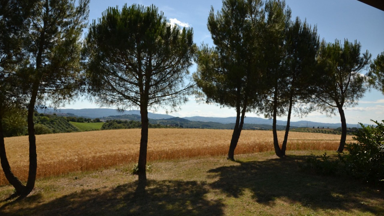 Photo of Others in Po' Bandino