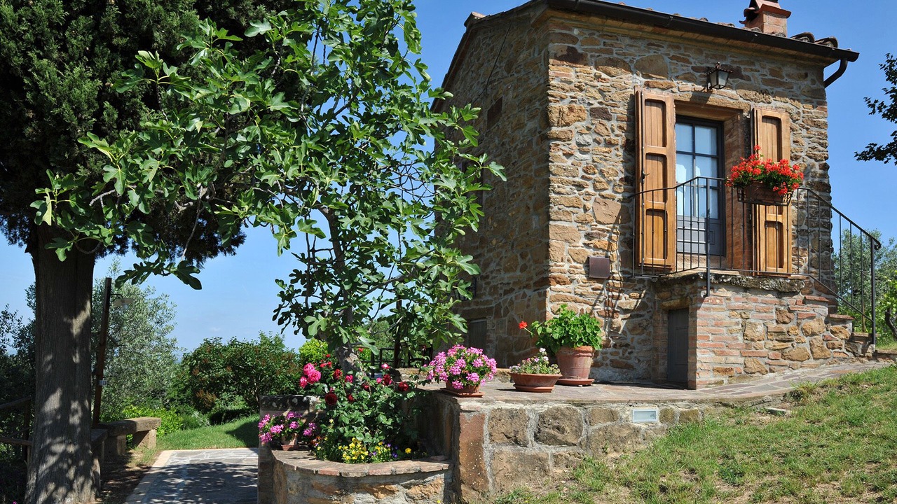 Photo of Outdoor in Montisi