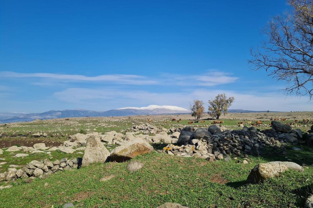 Photo of Others in Kela Alon