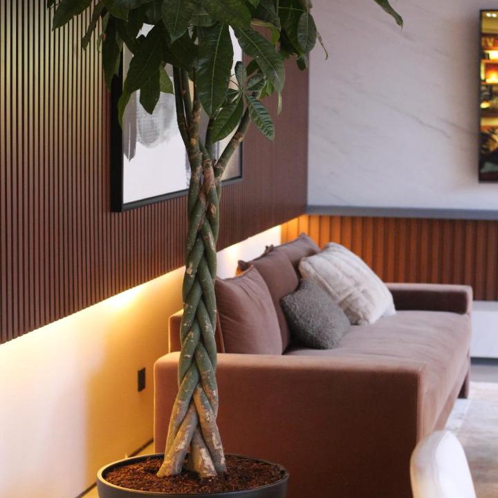 Photo of Livingroom in Buraydah