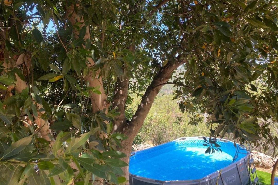 Photo of Others in Ein Karem