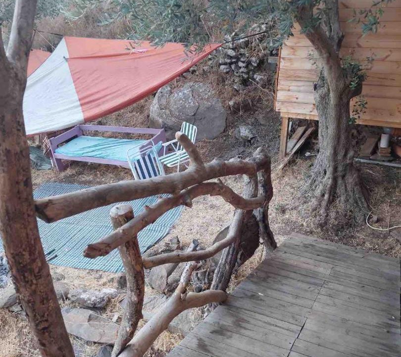 Photo of Others in Kfar Hoshen
