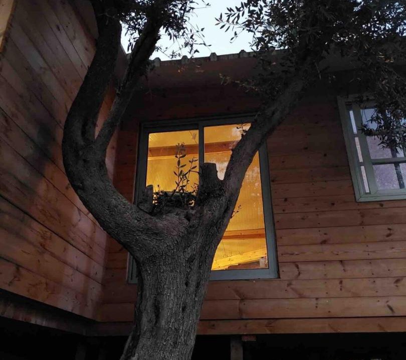 Photo of Others in Kfar Hoshen