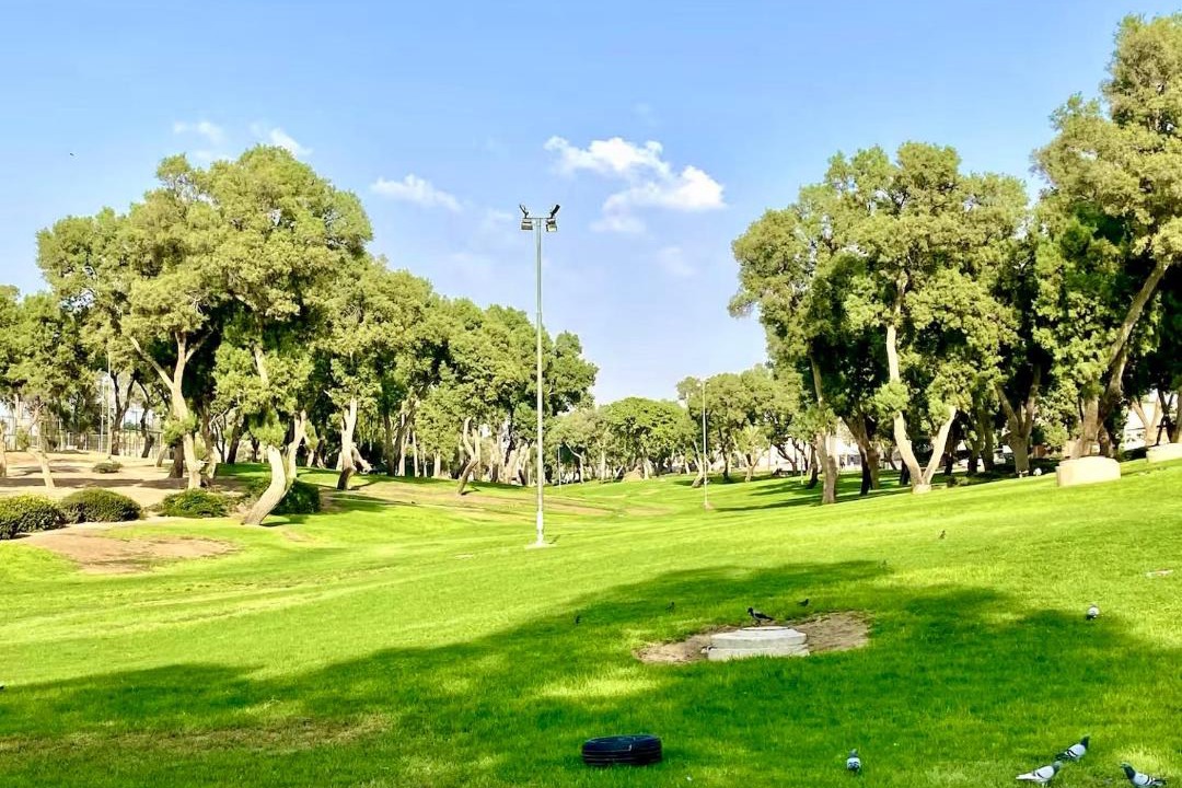 Photo of Others in Beersheba