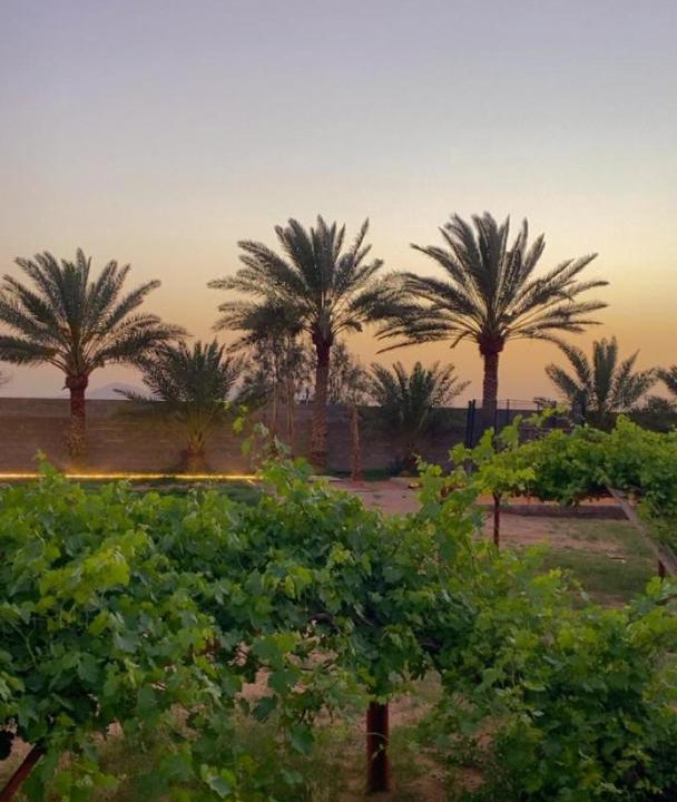 Photo of Others in Ha'il Province