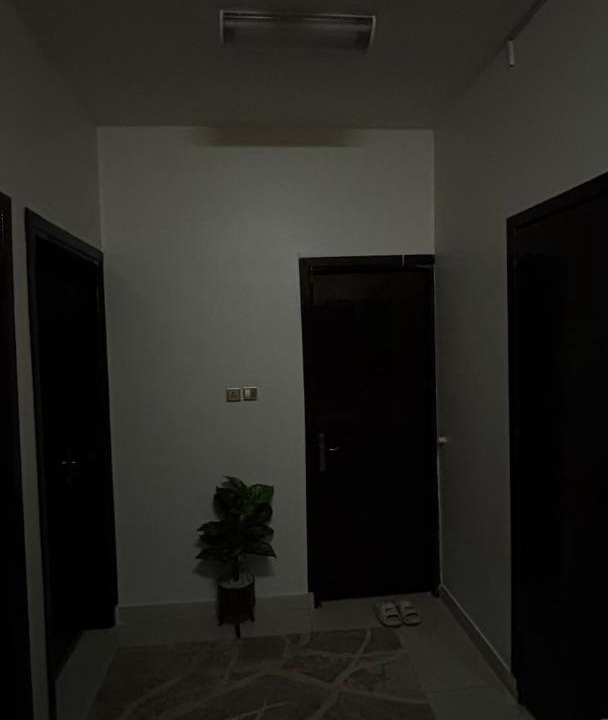 Photo of Others in Tabuk