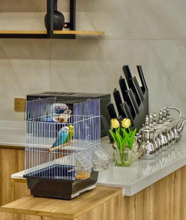 Photo of Kitchen in Mizail