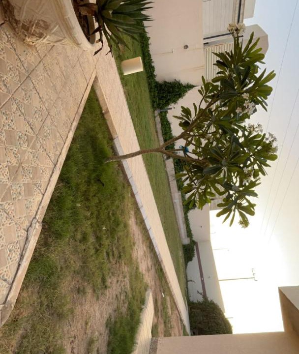 Photo of Others in Bukayriah