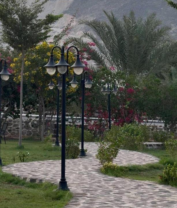 Photo of Others in Dhahban