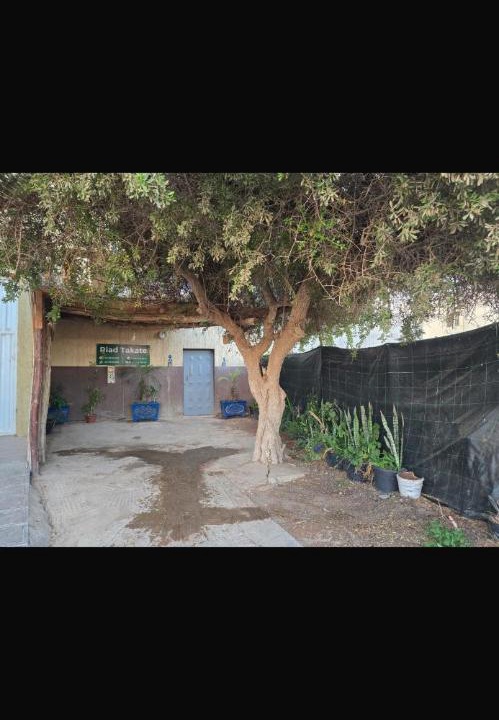 Photo of Others in Sidi Bibi
