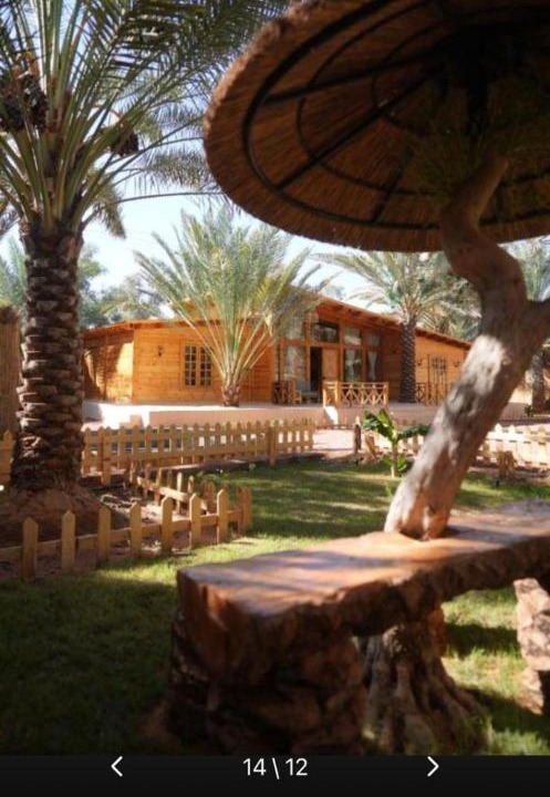 Photo of Others in AlUla