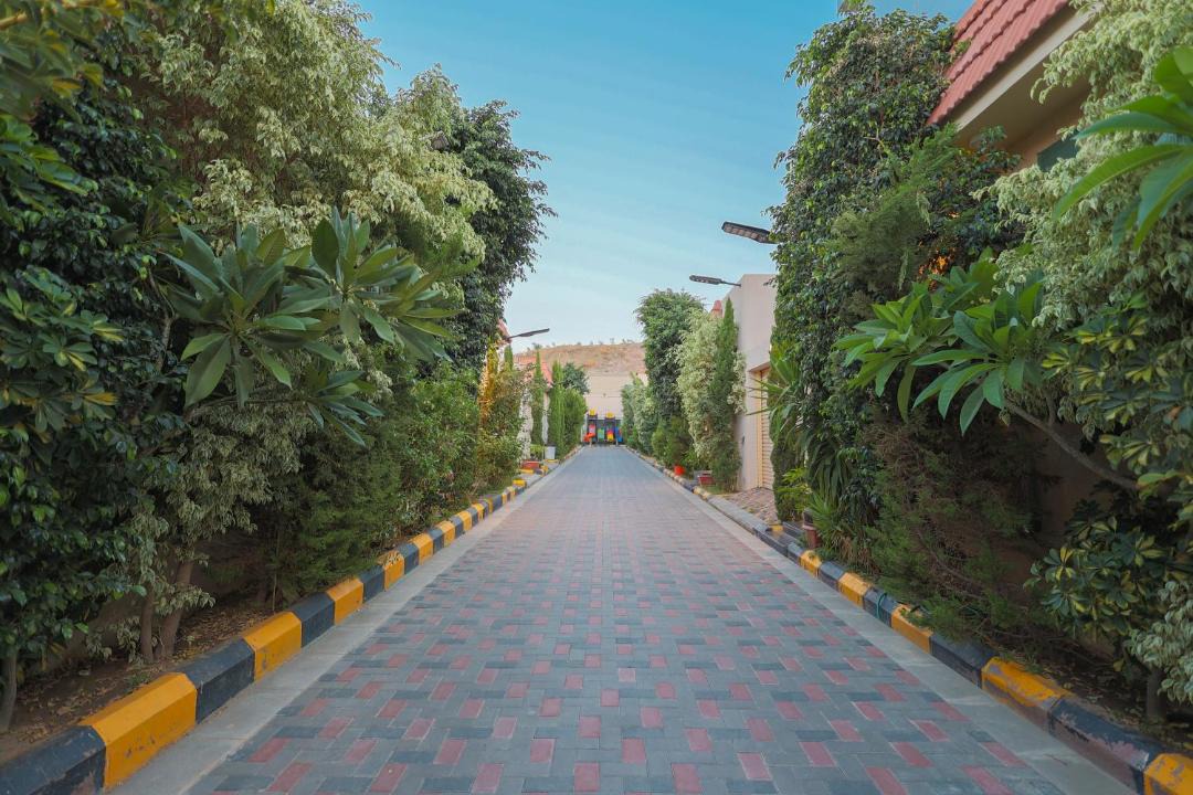 Photo of Others in Taif
