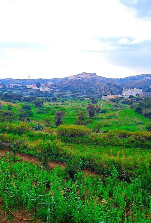 Photo of Others in Abha