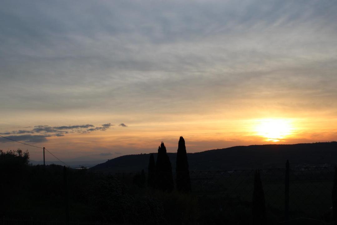 Photo of Others in Magione