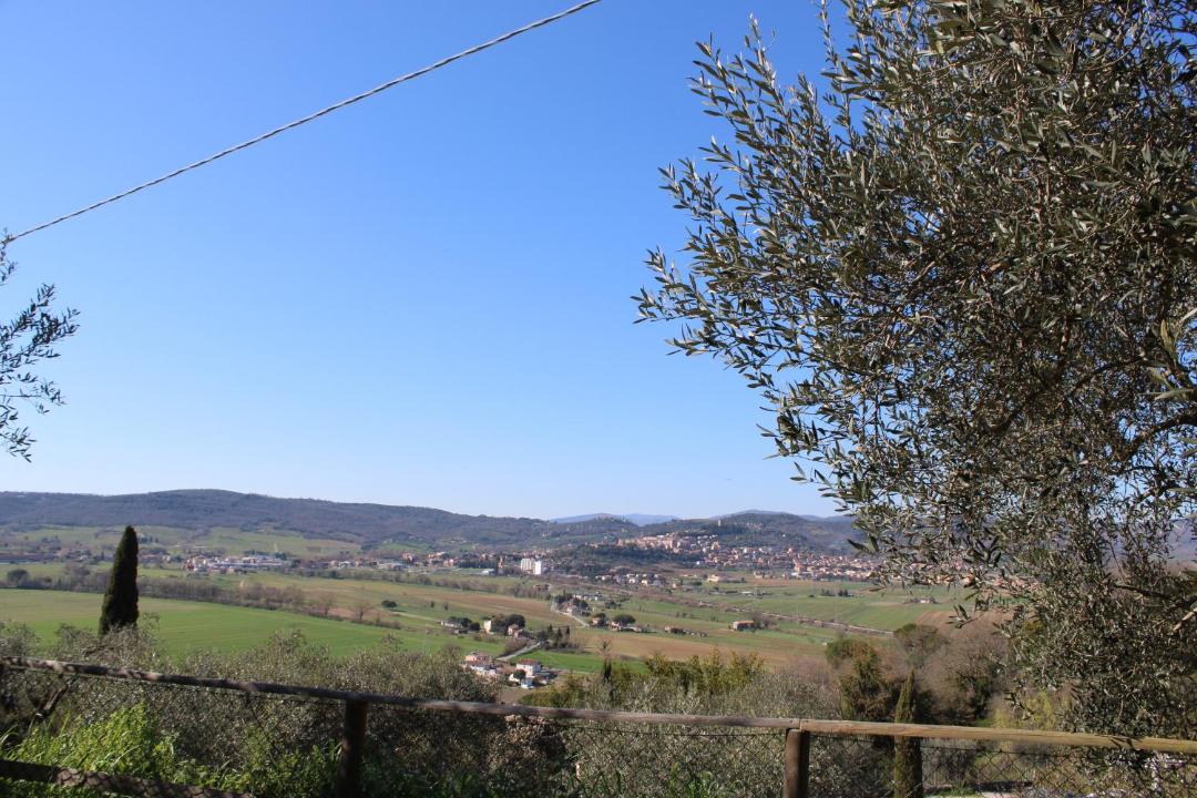 Photo of Others in Magione
