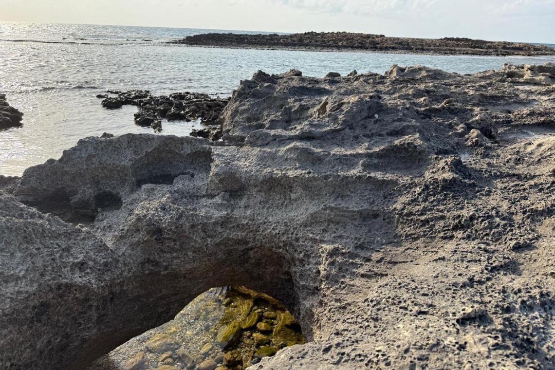 Photo of Others in Nahariya