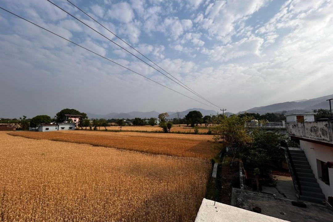 Photo of Others in Dehradun