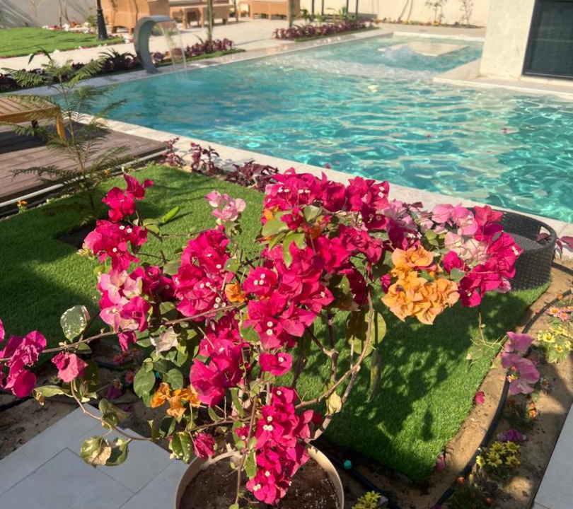 Photo of Others in Al Hofuf