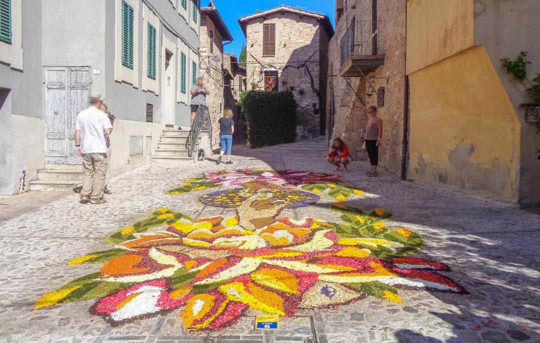 Photo of Others in Spello