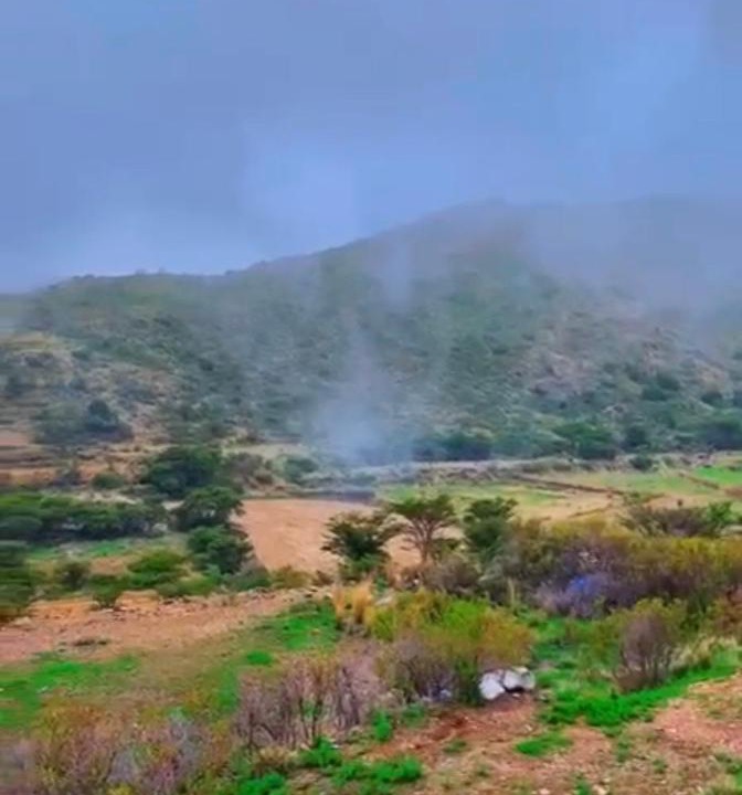 Photo of Others in Abha Al Jadidah