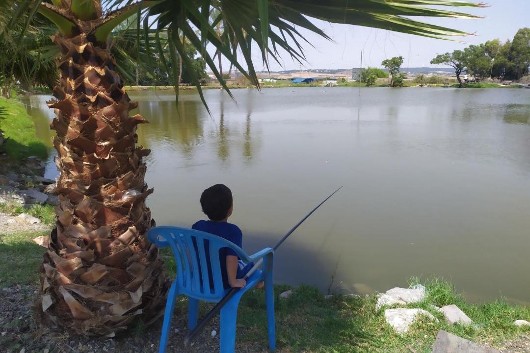 Photo of Others in Yokneam