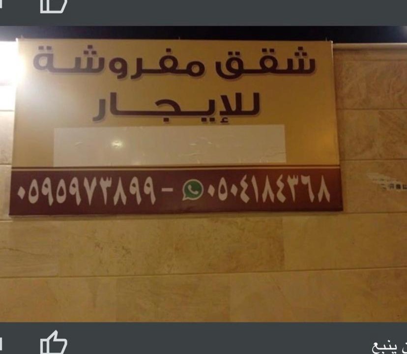 Photo of Others in Yanbu