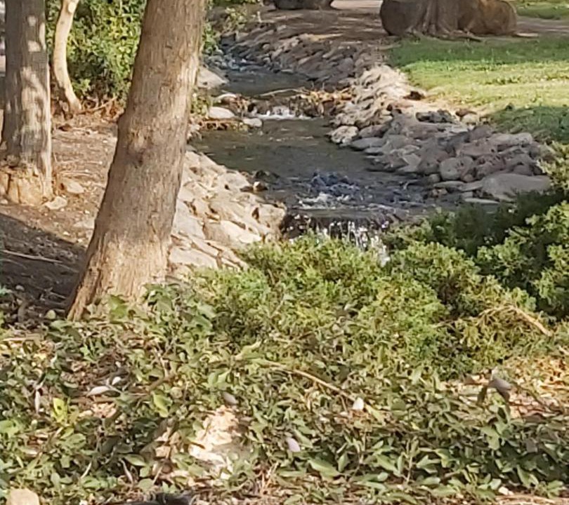 Photo of Others in Lehavot HaBashan