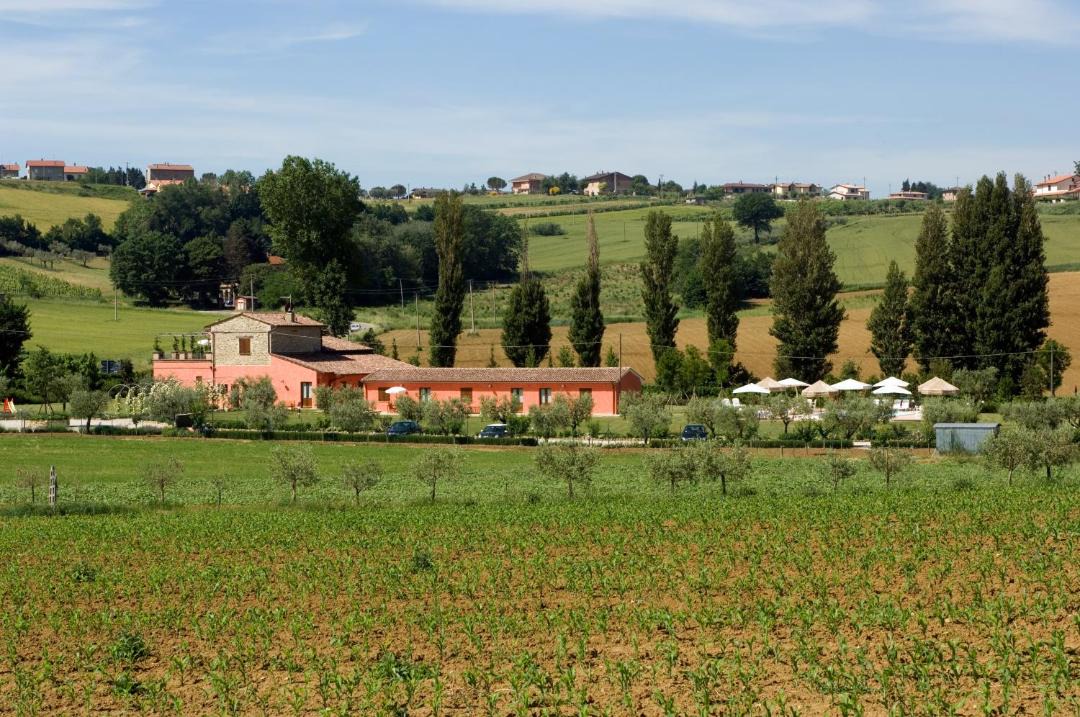 Photo of Others in Lidarno
