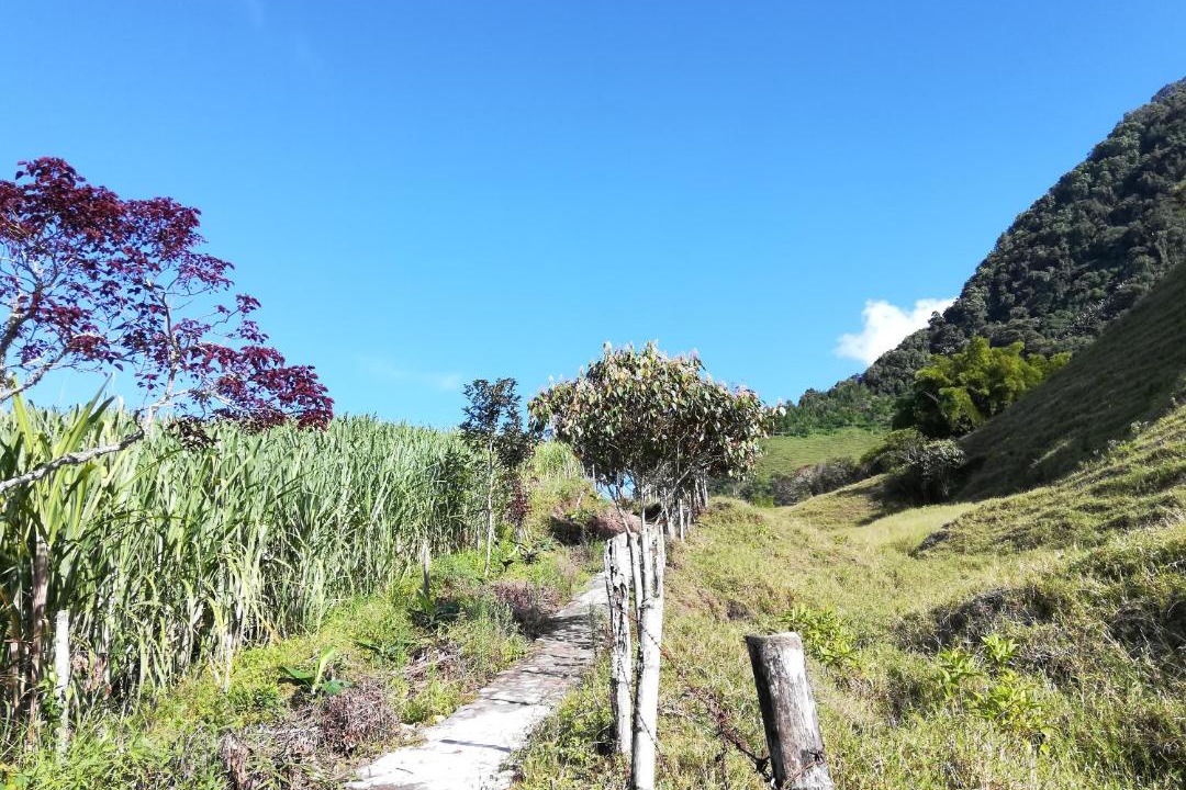 Photo of Outdoor in Jardin