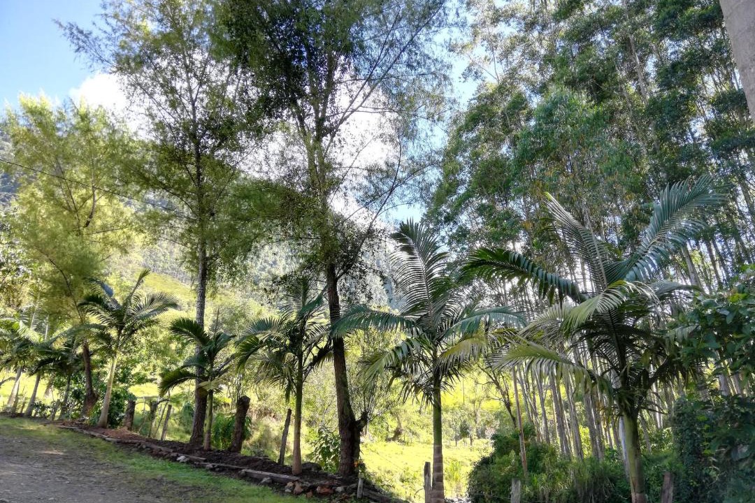 Photo of Outdoor in Jardin