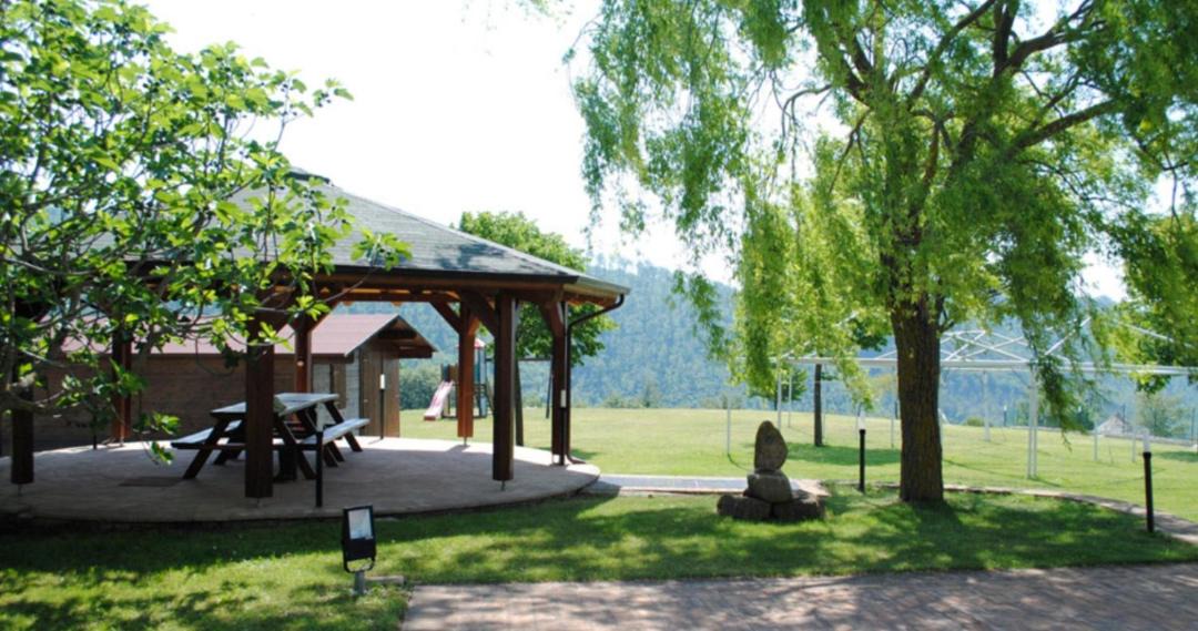 Photo of Others in Monteluiano
