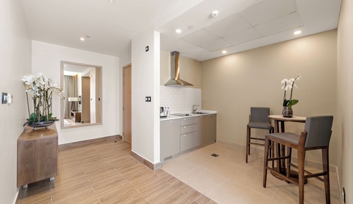 Deluxe Suite, City View