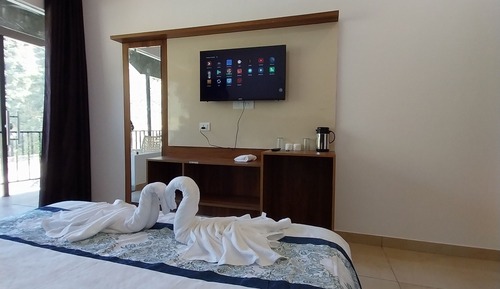 Premium Double Room