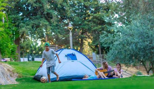Camping Tent