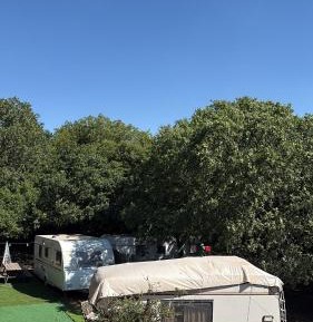 Mobile Home