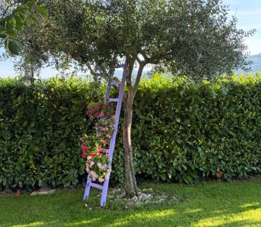 Petrignano Apartment | Assisi, la Noce