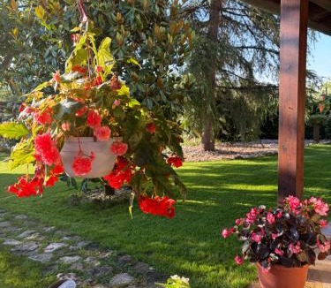 Petrignano Apartment | Assisi, la Noce