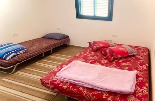 Beit Hillel Apartment | צלילי הפקאן Pecans Sounds