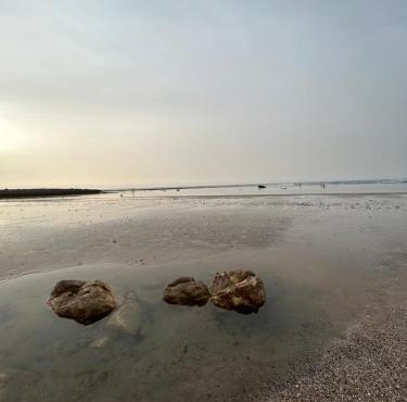 Villa en bord de mer avec jardins, piscines et résidence sécurisée