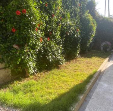Belle Villa